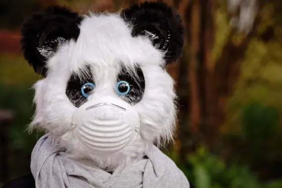 Казино Ейт Сторм Поддръжка